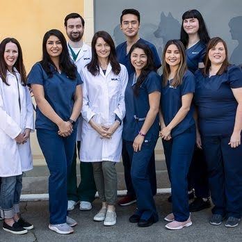 VCA All Our Pets Animal Hospital